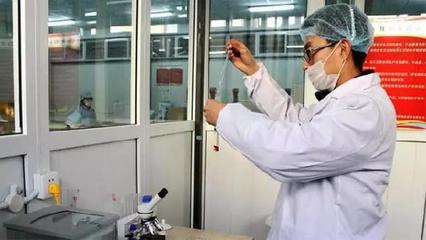 強(qiáng)肝益腎明目填精 寧夏枸杞與空氣凈化設(shè)備研發(fā)的跨界啟示